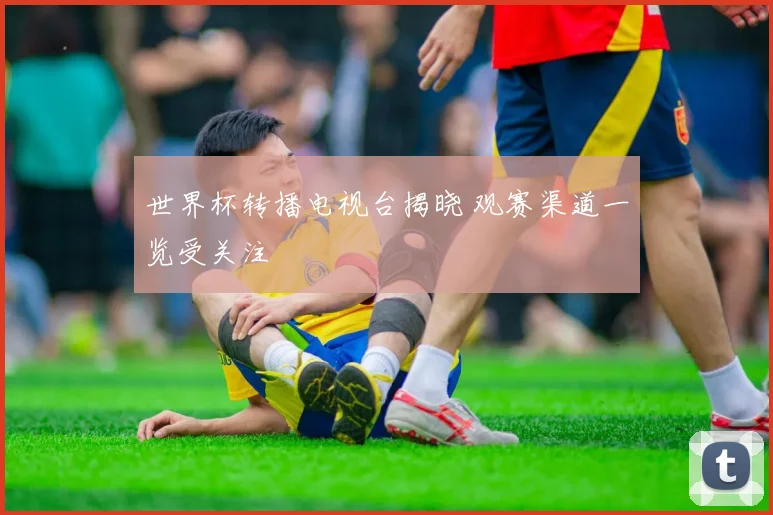 世界杯转播电视台揭晓 观赛渠道一览受关注