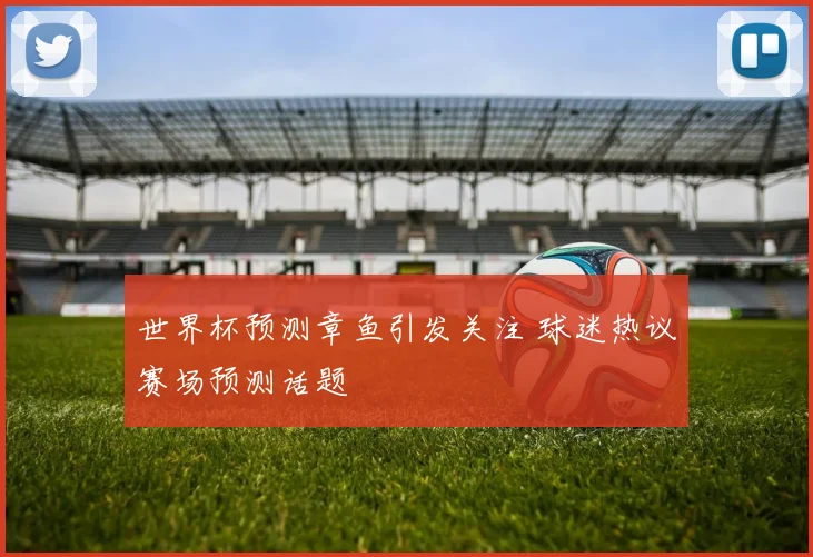 世界杯预测章鱼引发关注 球迷热议赛场预测话题