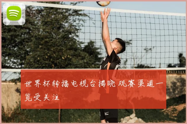 世界杯转播电视台揭晓 观赛渠道一览受关注