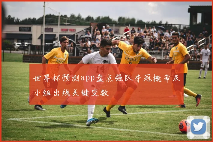 世界杯预测app盘点强队夺冠概率及小组出线关键变数